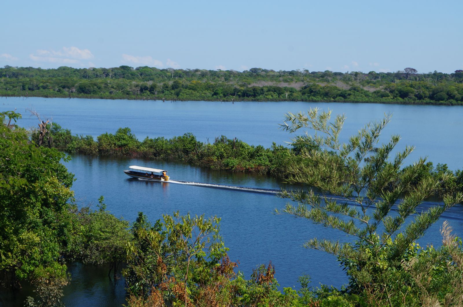 CUNIÃ: Cooperativa que produz carne de jacaré retoma as atividades na capital