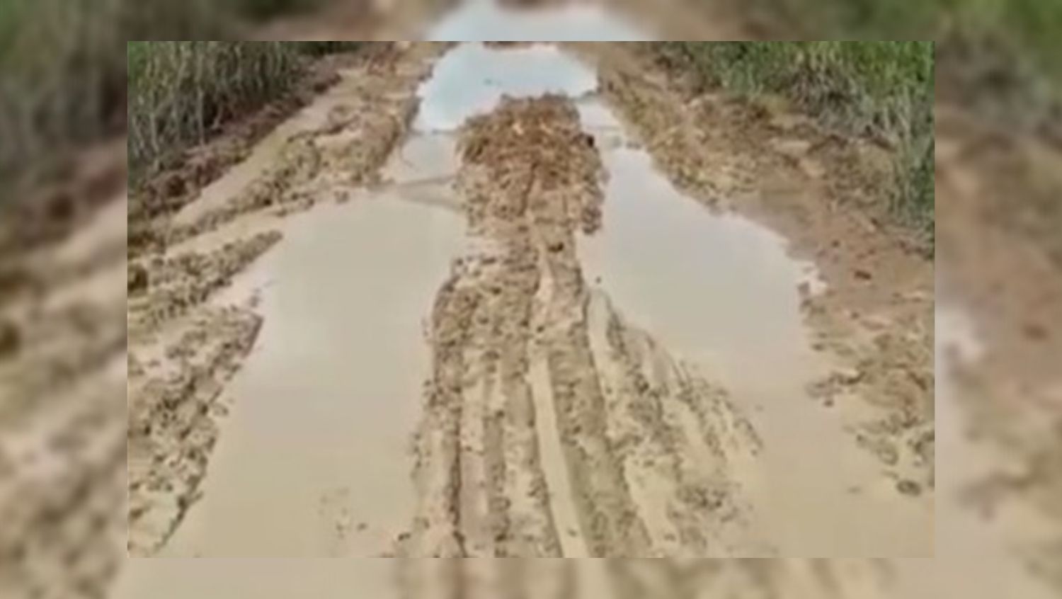 DESCASO: Moradores da linha 45 reclamam das condições da estrada que corta a região