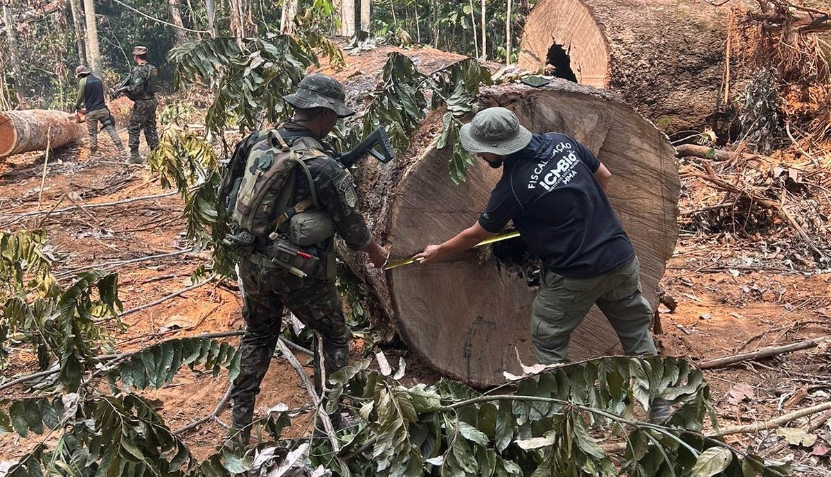 Exército participa de ação integrada de combate ao crime ambiental