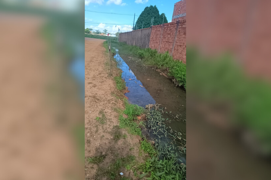 ‘COBRAS, RATOS E MOSQUITOS’: Esgoto a céu aberto preocupa morador do bairro Lagoa