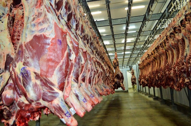 CARNE BOVINA: Volume de exportação de RO aponta para novo recorde em 2022