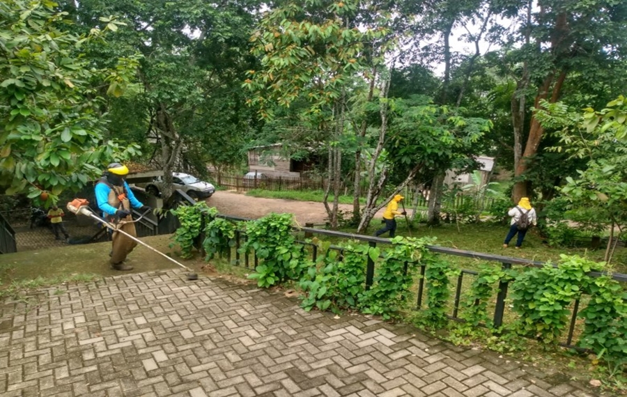 SERVIÇO BÁSICO: Cemitério da Candelária recebe mutirão de limpeza urbana