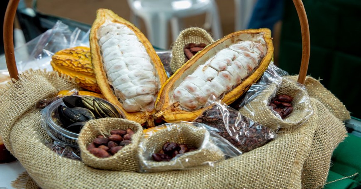 CONCACAU E CONCAFÉ: Lançado edital para credenciamento de patrocinadores 