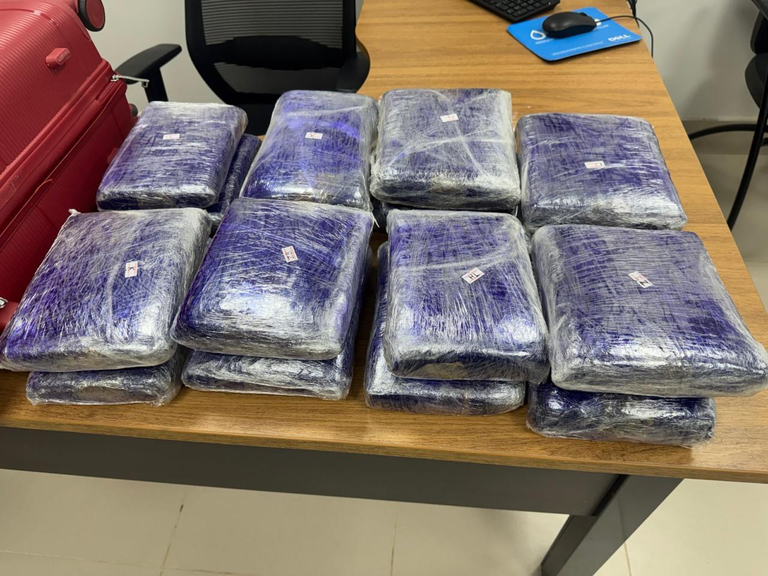 FISCALIZAÇÃO COP30: PF prende mulher com 22 kg de droga no Aeroporto Internacional de Belém