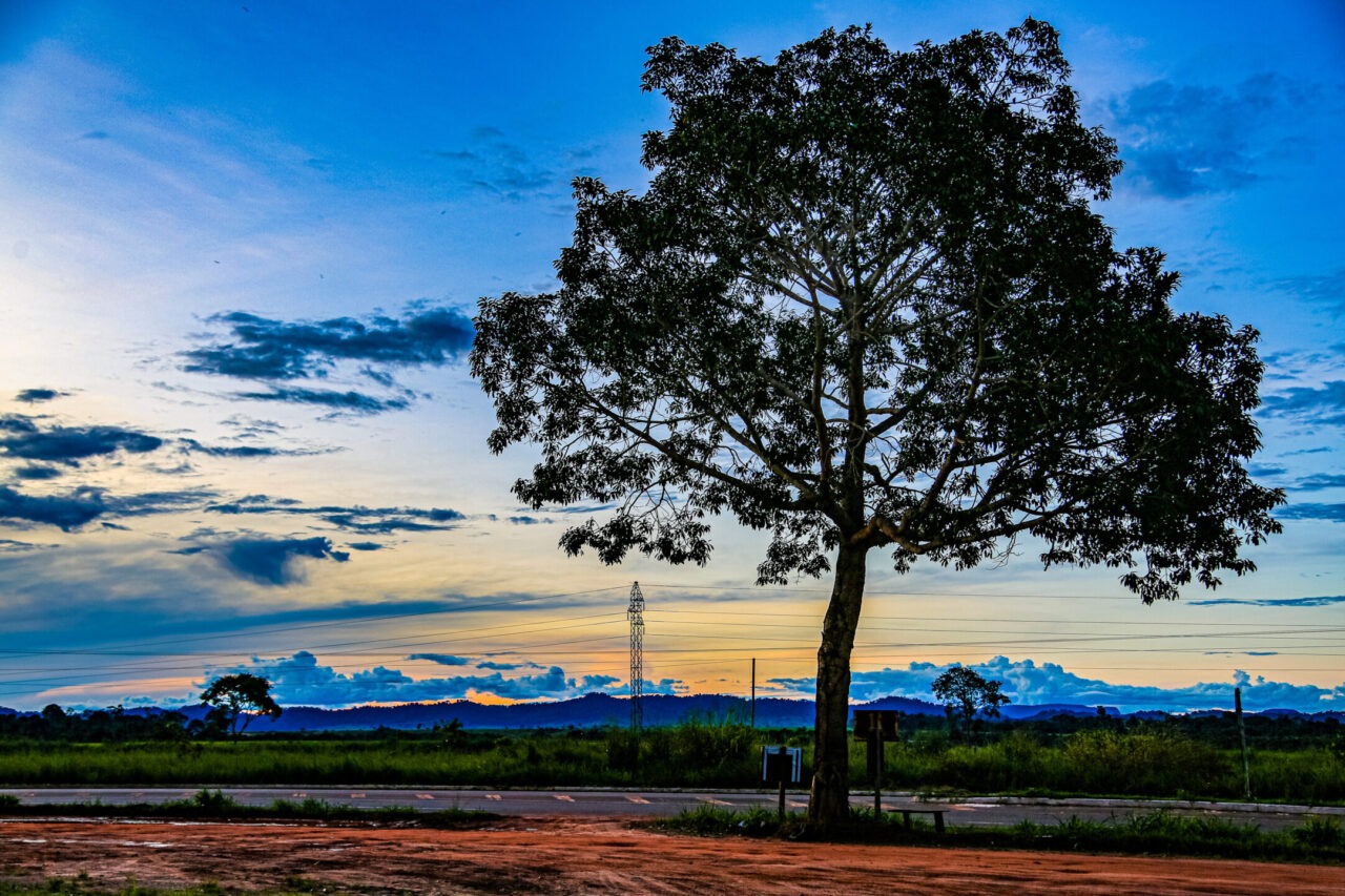 RONDÔNIA: Inscrições para o concurso da prefeitura de Seringueiras terminam hoje (15)