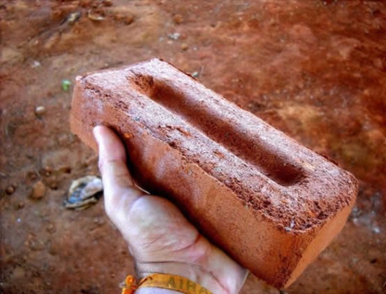 BRUTO - Filho agride mãe com tijoladas durante bebedeira
