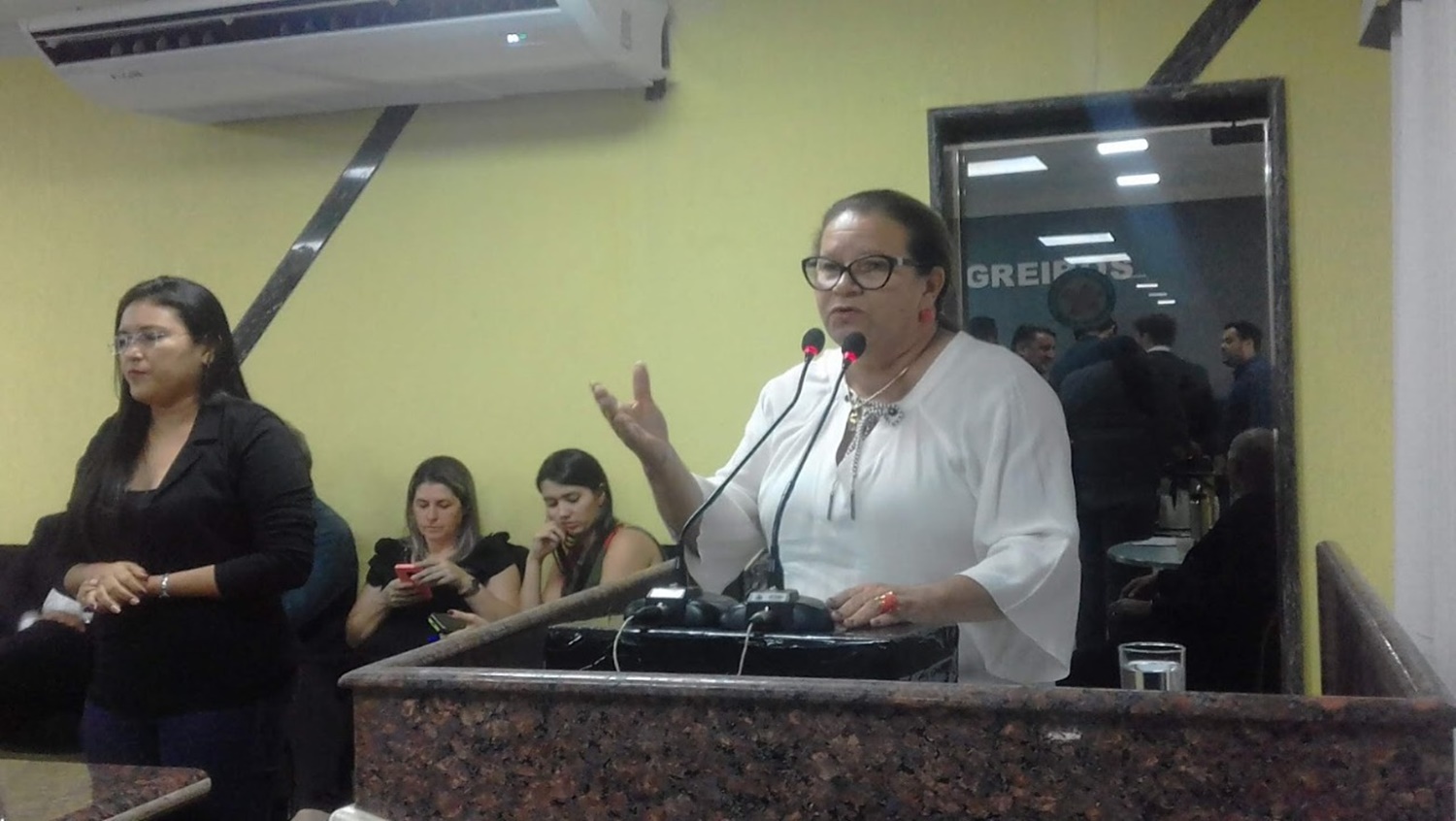 PROJETO: Promulgada a lei de Ellis Regina que autoriza criação do crematório municipal 