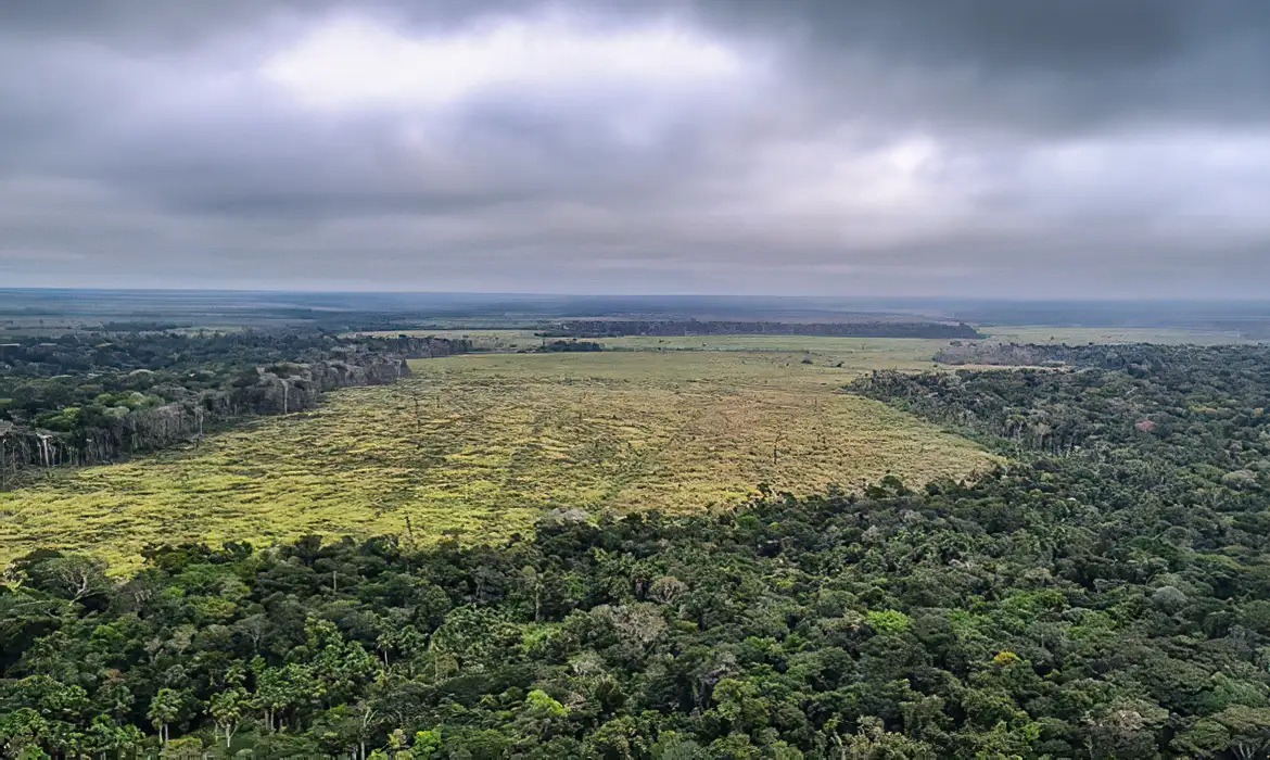 FLORESTA+ AMAZÔNIA: Produtores rurais podem receber até R$ 28 mil para preservar a floresta nativa