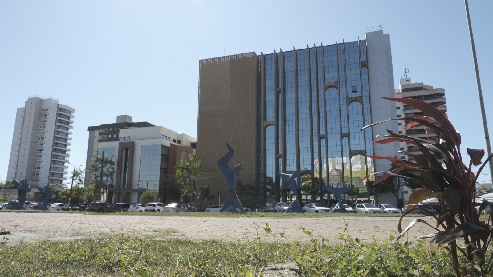 OPORTUNIDADE: TCE abre estágio de graduação em jornalismo e marketing e pós em administração