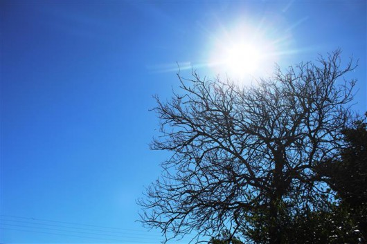 BEBA ÁGUA: Ariquemes e resto de RO tem tempo claro e ensolarado no domingo (13)