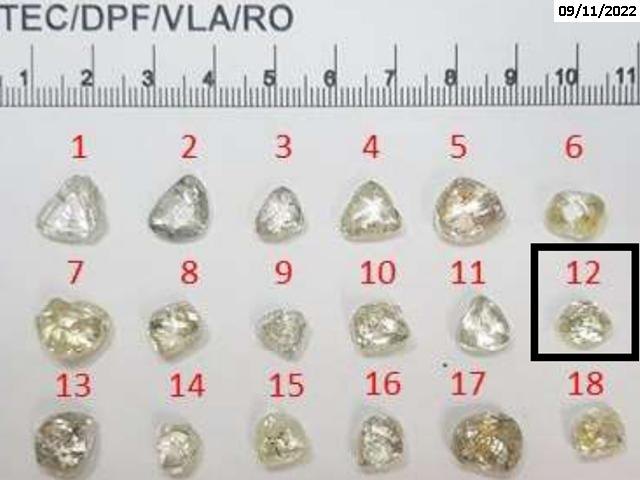 PEDRADA: Diamantes rondonienses vão a leilão virtual nesta sexta (23) 