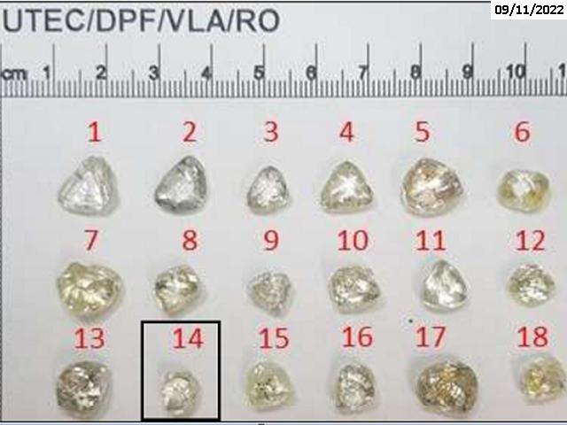 PEDRADA: Diamantes rondonienses vão a leilão virtual nesta sexta (23) 