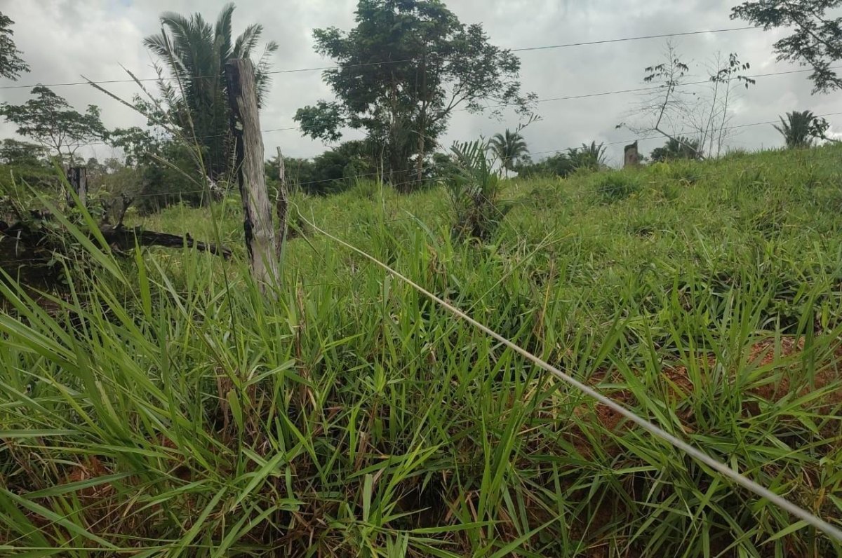 PARQUE ESTADUAL: Polícia tenta identificar invasores que atiraram 60 vezes contra base da PM