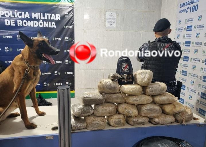 BECO GIRUÁ: Trio é preso com 11 quilos de maconha enterrada no quintal de casa