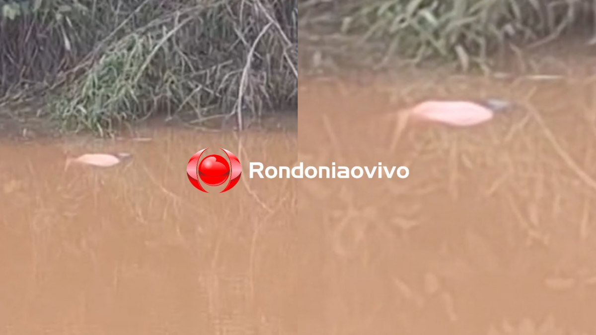 VÍDEO: Cadáver é encontrado em lago as margens da Estrada da Penal 