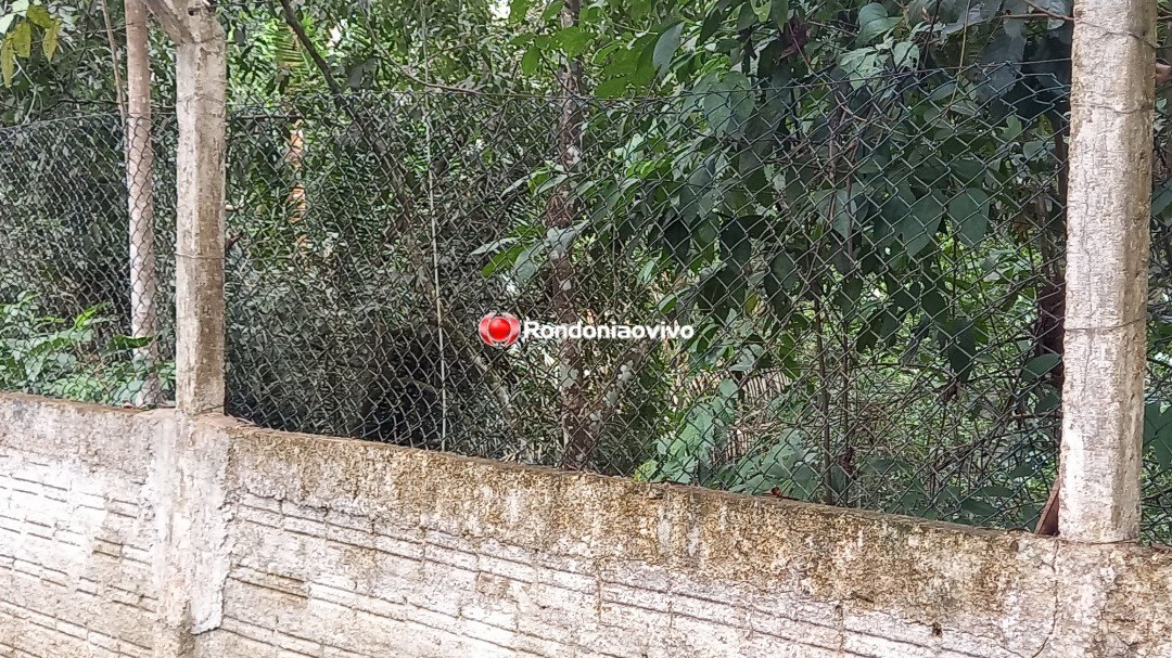 VÍDEO: Corpo é encontrado jogado no canal dos tanques