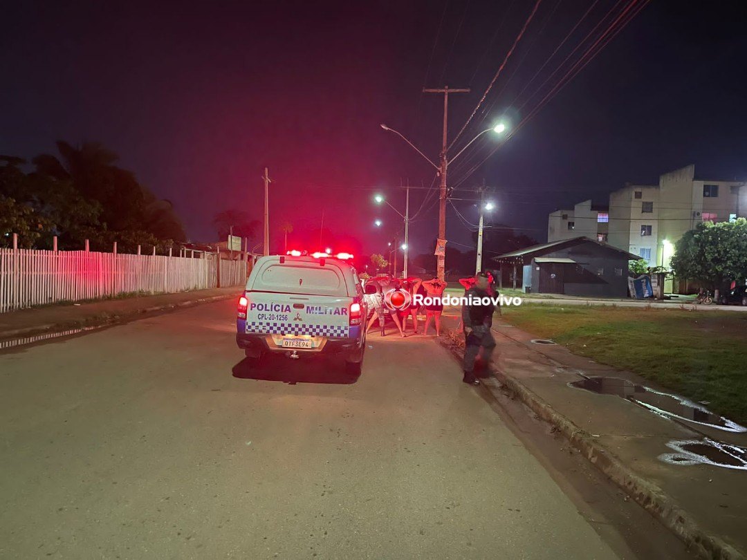 VÍDEO: PM continua com megaoperação em condomínios da capital