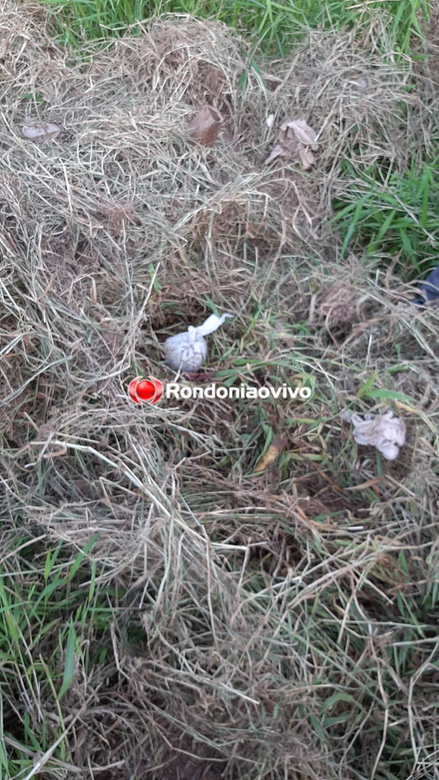 BOCA FECHADA: Denarc prende venezuelano acusado de tráfico de drogas na zona Leste 