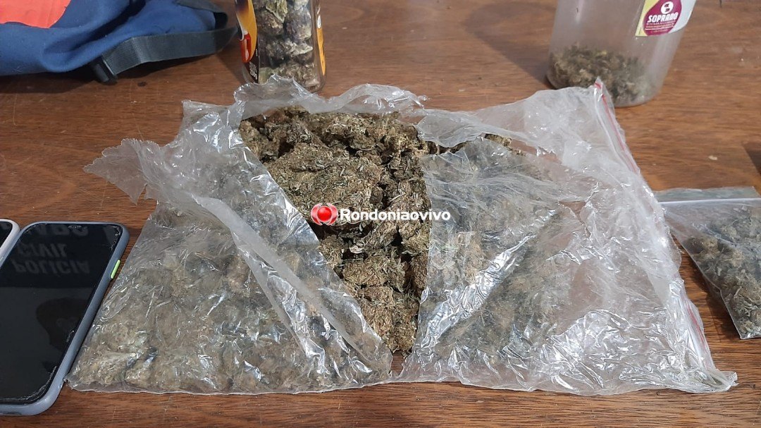 DROGA SINTÉTICA: Denarc prende casal que vendia ecstasy e skunk em distribuidora de fachada 