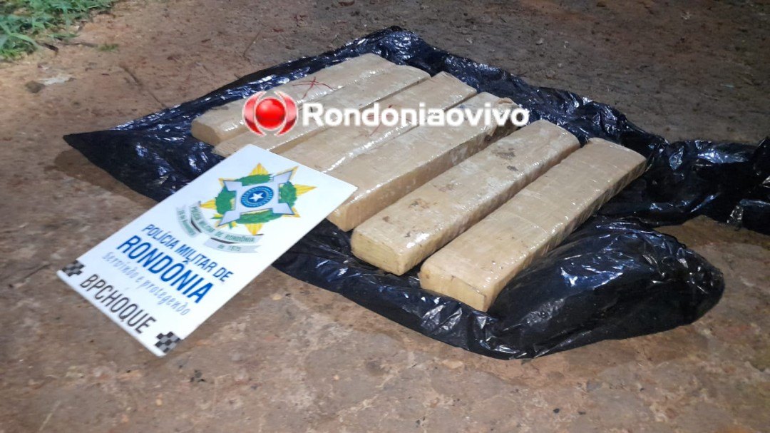FAREJADORES DA PM: K9 Duda e Baruck encontram tabletes de drogas enterradas