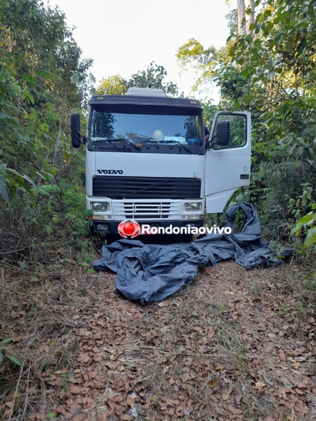 ASSISTA: Delegacia de Furtos e Roubos recupera carreta e prende acusado 