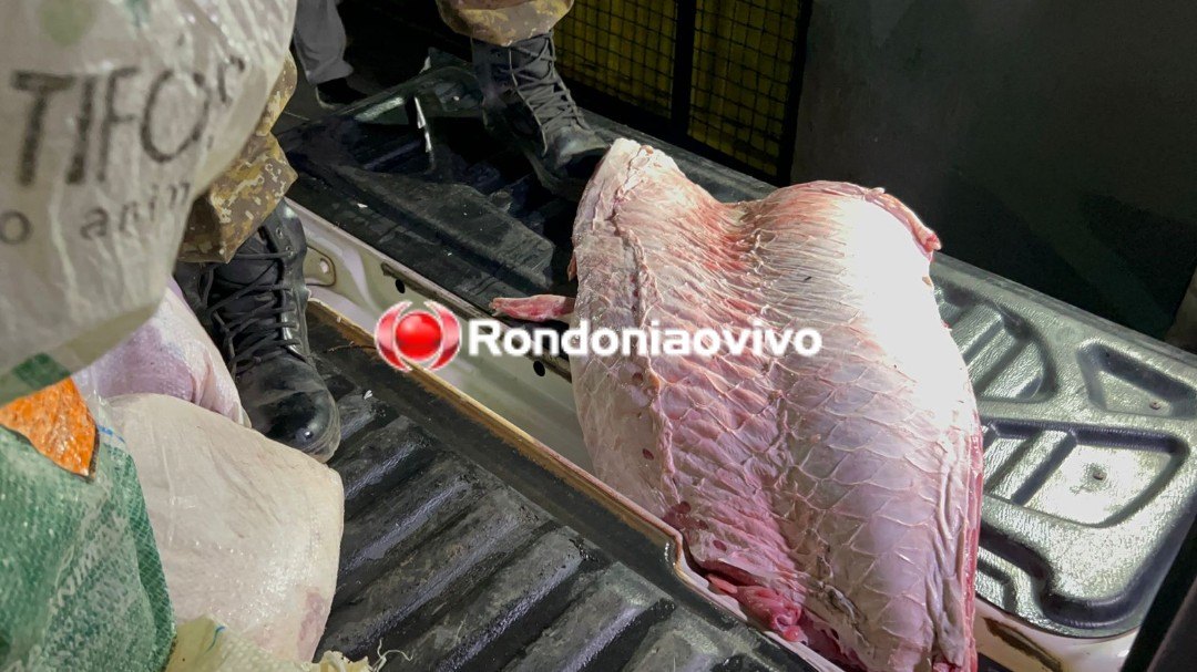 PIRARUCU: Homem é preso com 130 quilos de peixe durante operação conjunta