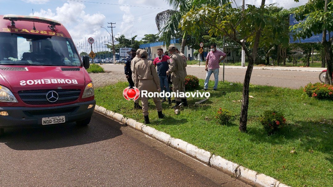 NA FRENTE DA PM: Mulher sobe canteiro central e bate em árvore para não matar motociclista