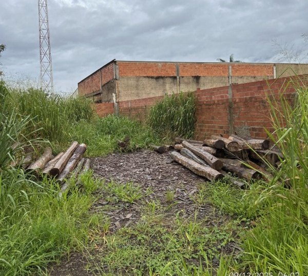 AÇÃO CONJUNTA: PC do MT realiza operação em depósitos ilegais de madeiras em Rondônia