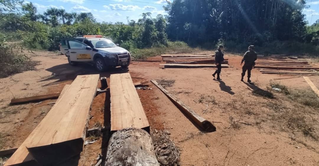 Operação Samaúna aplicou multas de R$ 39 milhões e apreendeu 774 m³ de madeiras