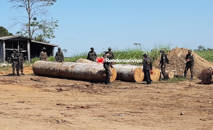 IRREGULAR: Operação Verde Brasil fiscaliza madeireiras no município de Buritis
