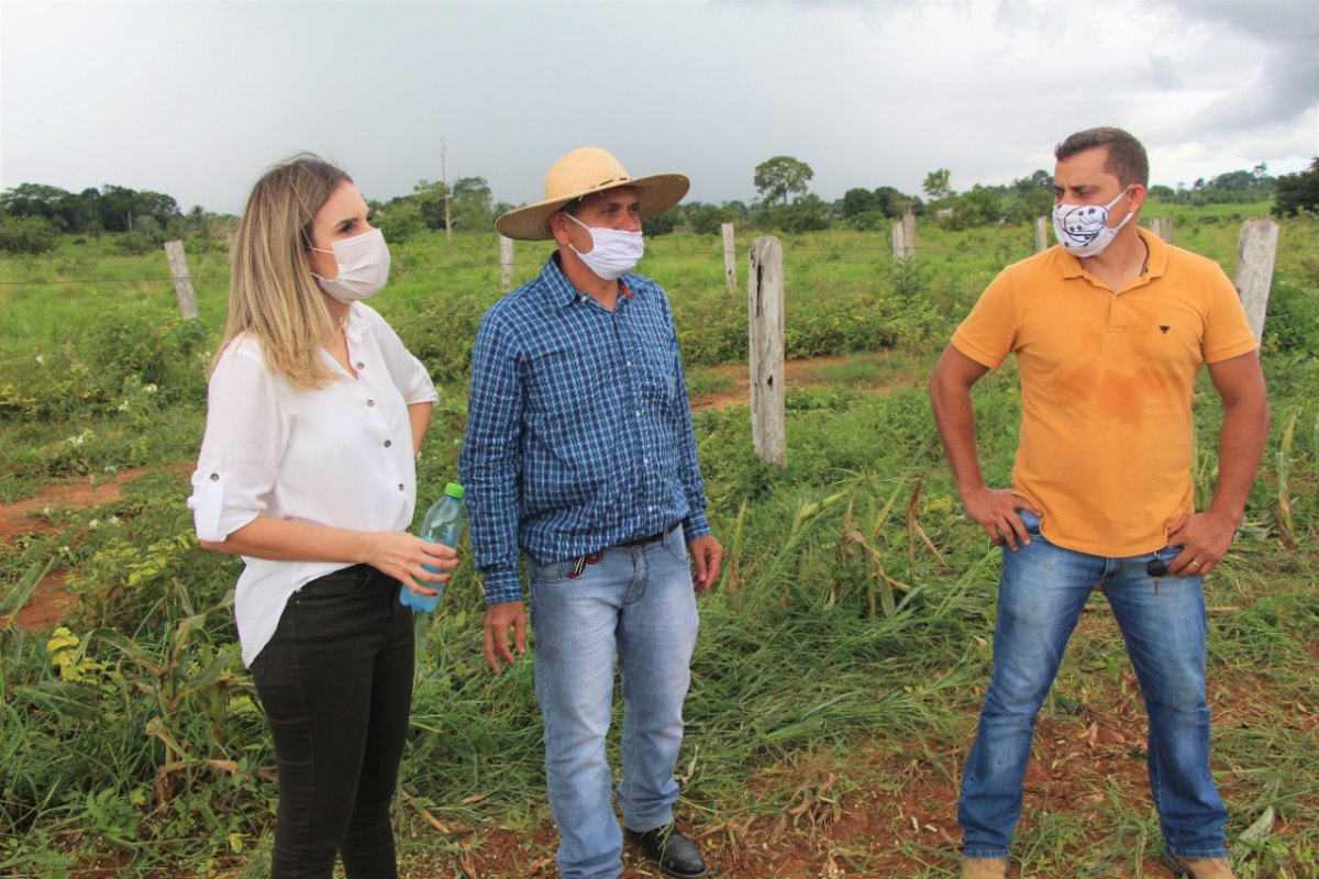 VALE DO JAMARI: Prefeita de Ariquemes visita produtor de silagem de milho e criador de gado leiteiro