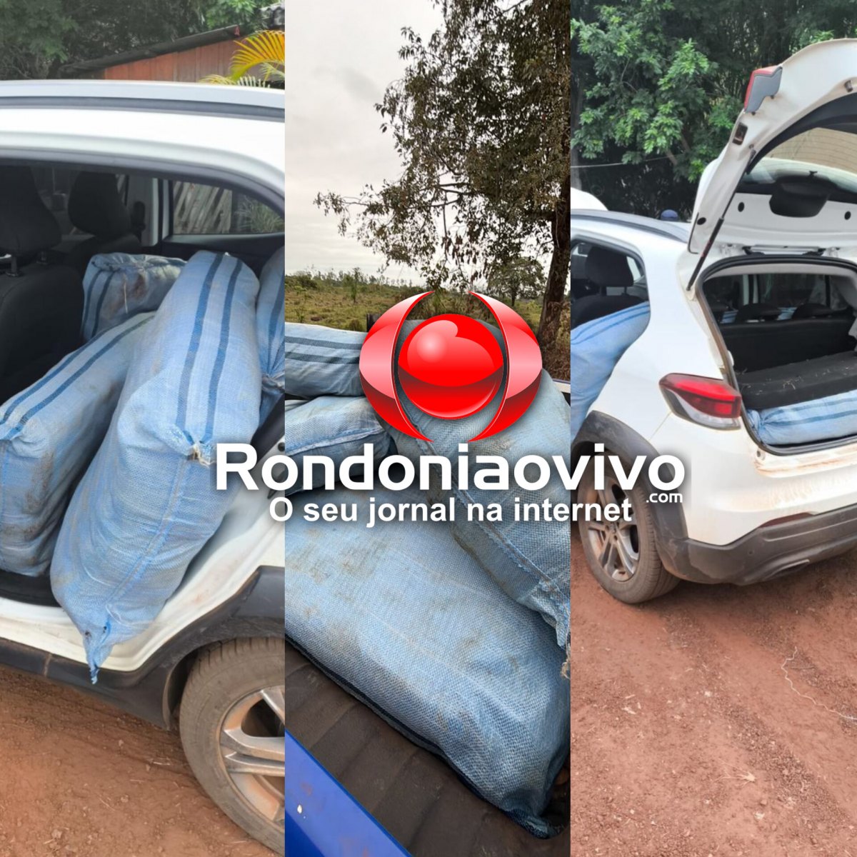 OPERAÇÃO: DRACO2, PM e PRF apreendem 180 quilos de skunk após perseguição