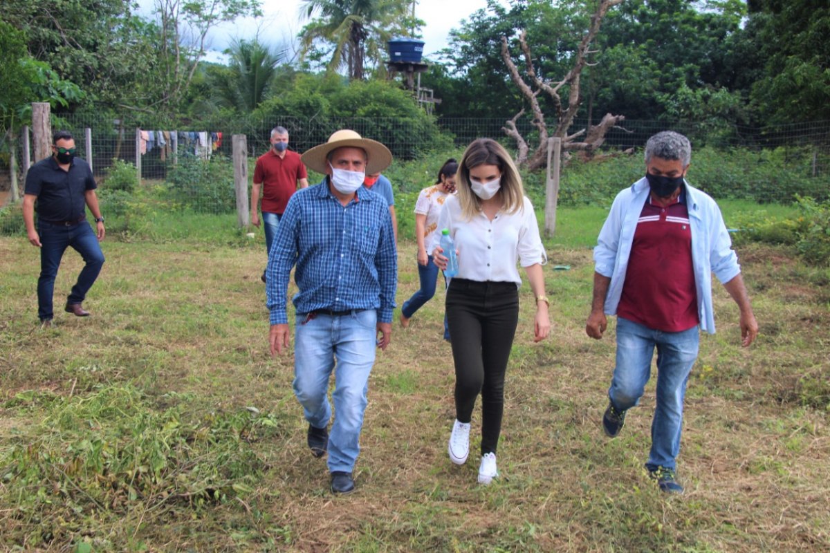 VALE DO JAMARI: Prefeita de Ariquemes visita produtor de silagem de milho e criador de gado leiteiro