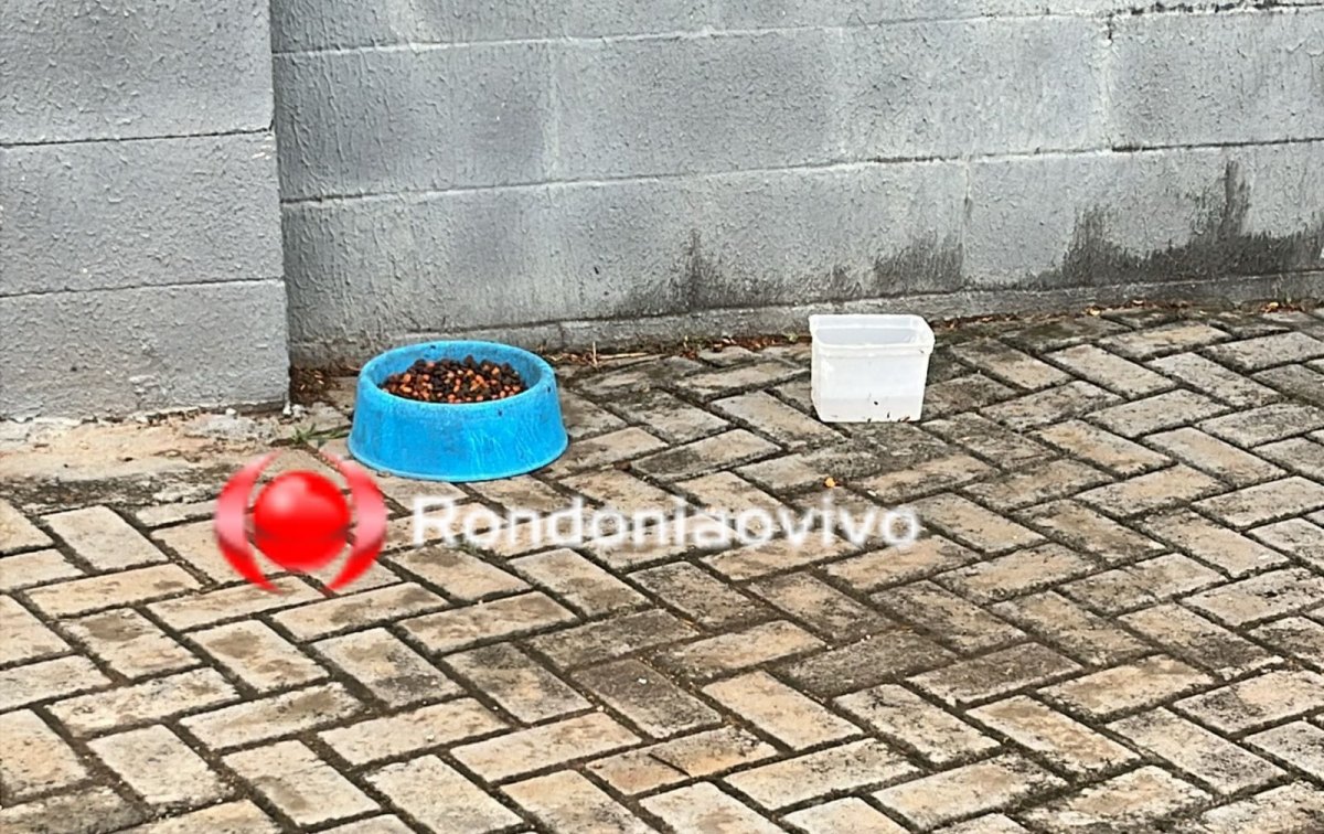 NO TRIÂNGULO: 'Caramelo' entra na frente de moto, derruba mulher e foge após fazer refeição 