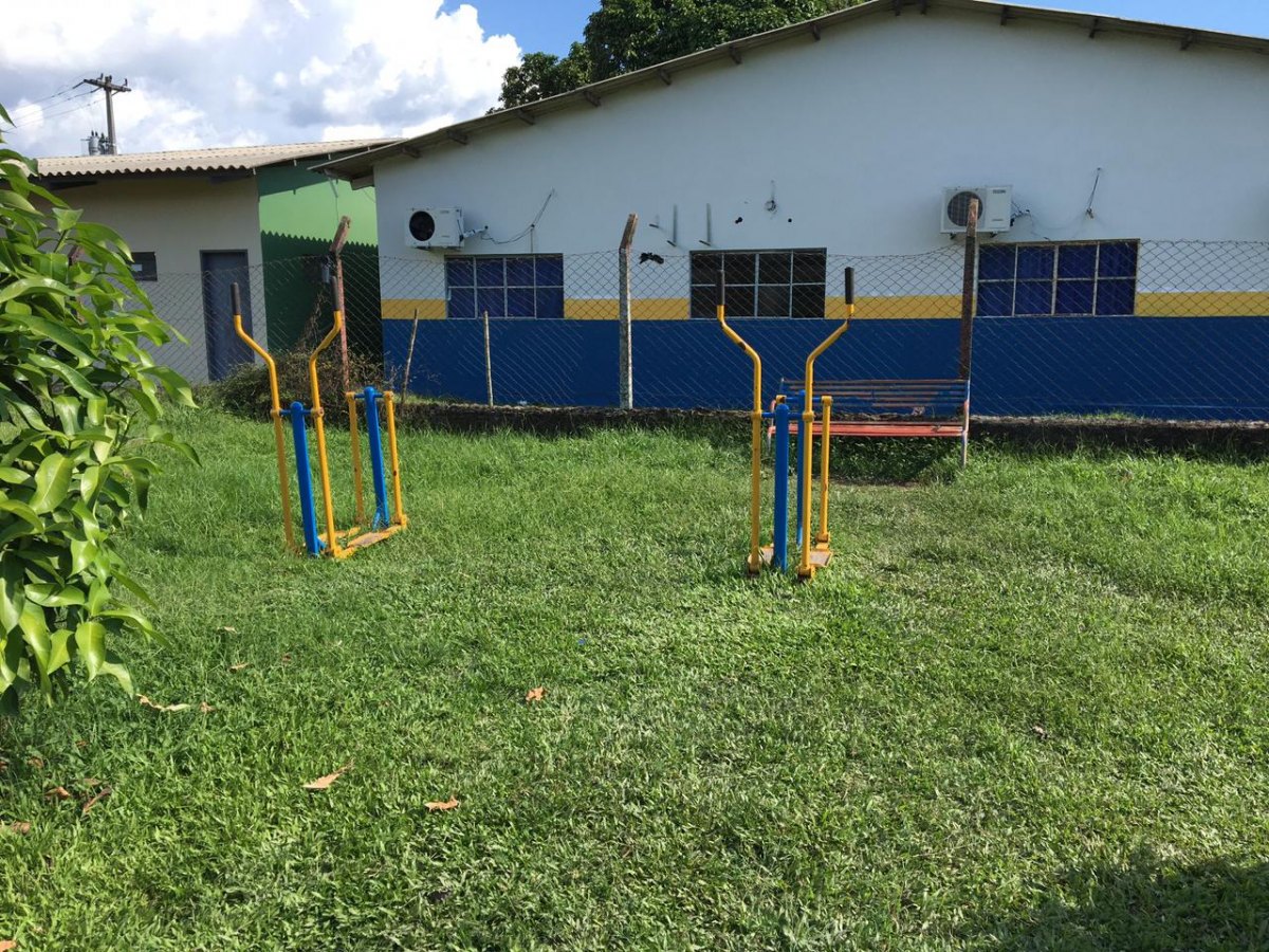 VEREADORA: Márcia Socorristas Animais reafirma compromisso com comunidade de São Carlos