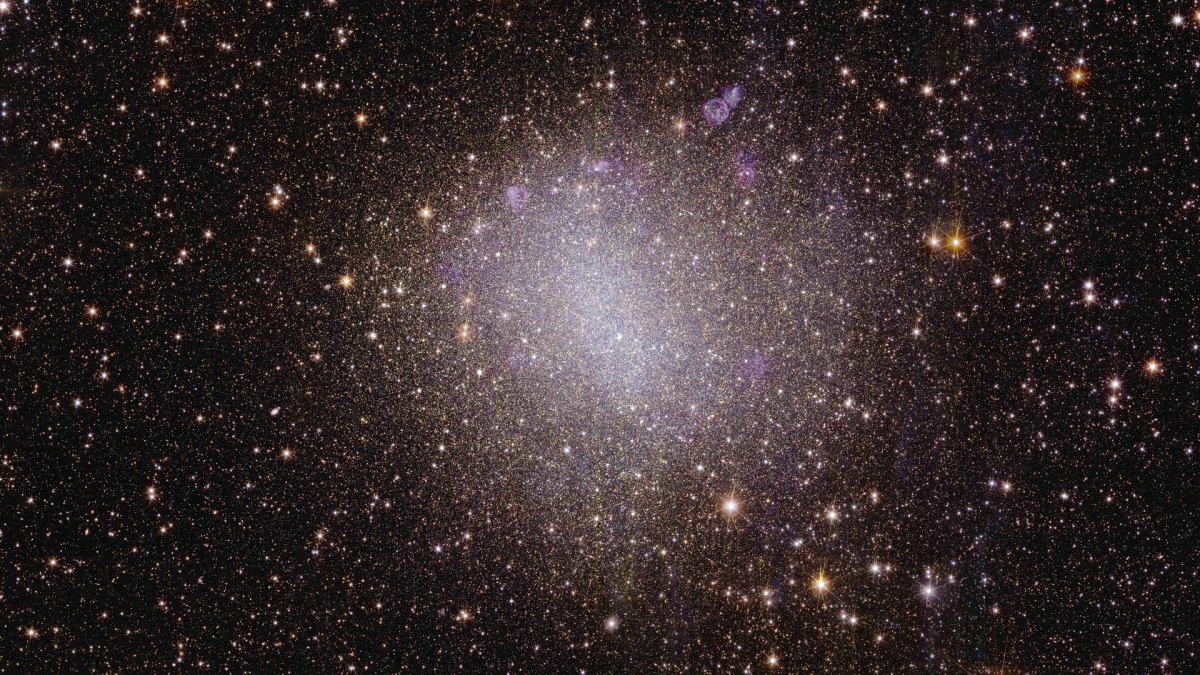 ASTRONOMIA: Telescópio Euclid consegue observar 'Cabeça de Cavalo'