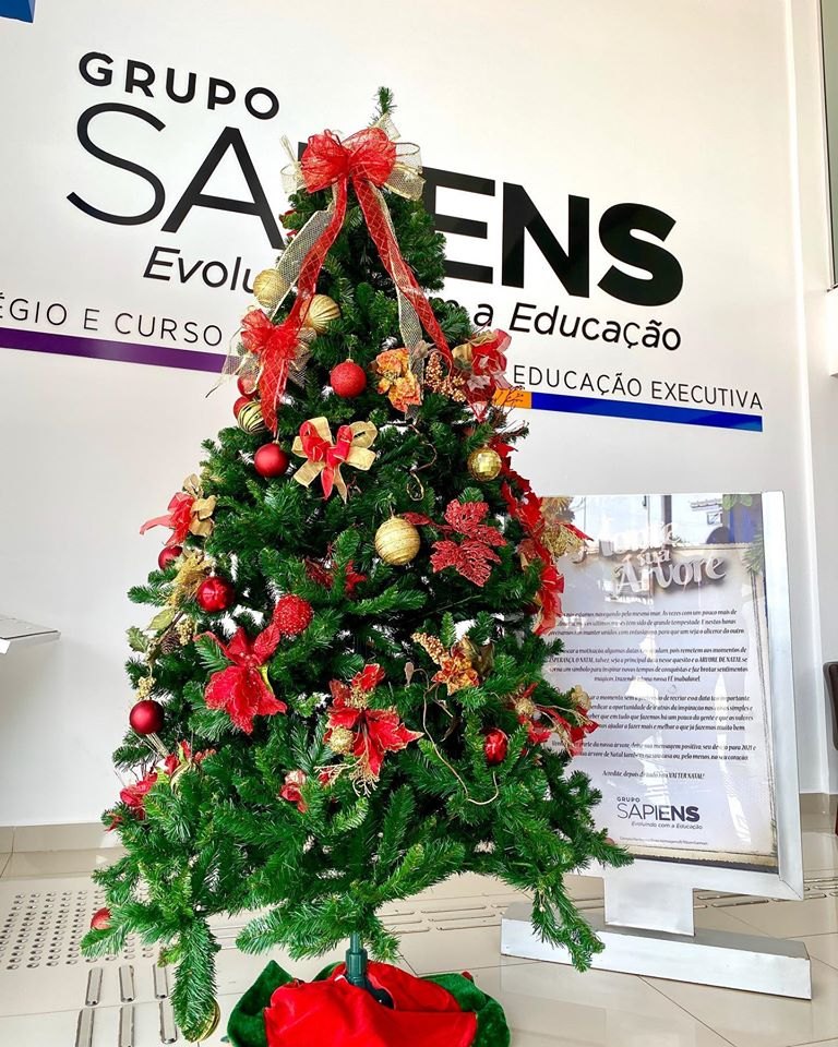 PAZ E ALEGRIA: Árvore de Natal é montada no colégio e na faculdade do Grupo Sapiens