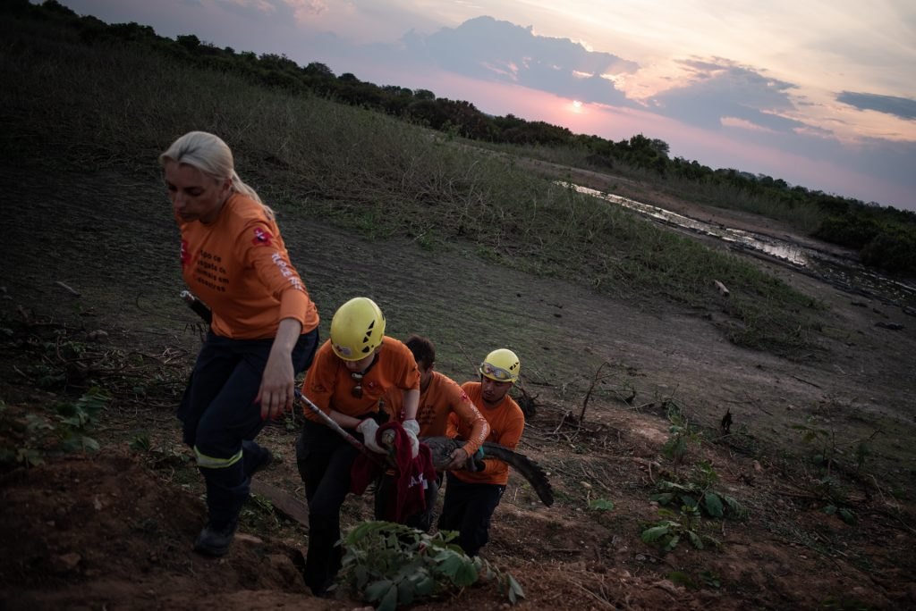 AGONIA: Milhões de jacarés podem morrer no Pantanal devido à seca que assola a região