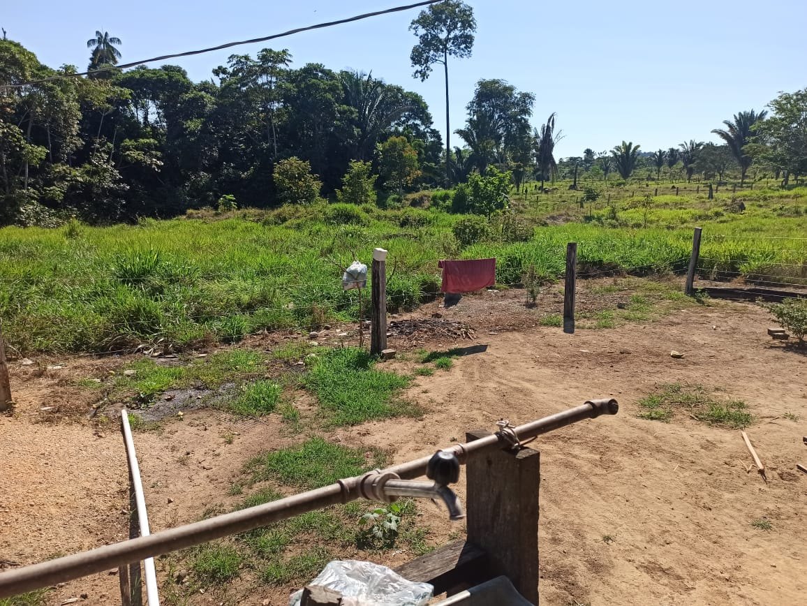VENTRE LIVRE: PF faz operação para resgatar estrangeiros que trabalhavam de forma 'escrava'