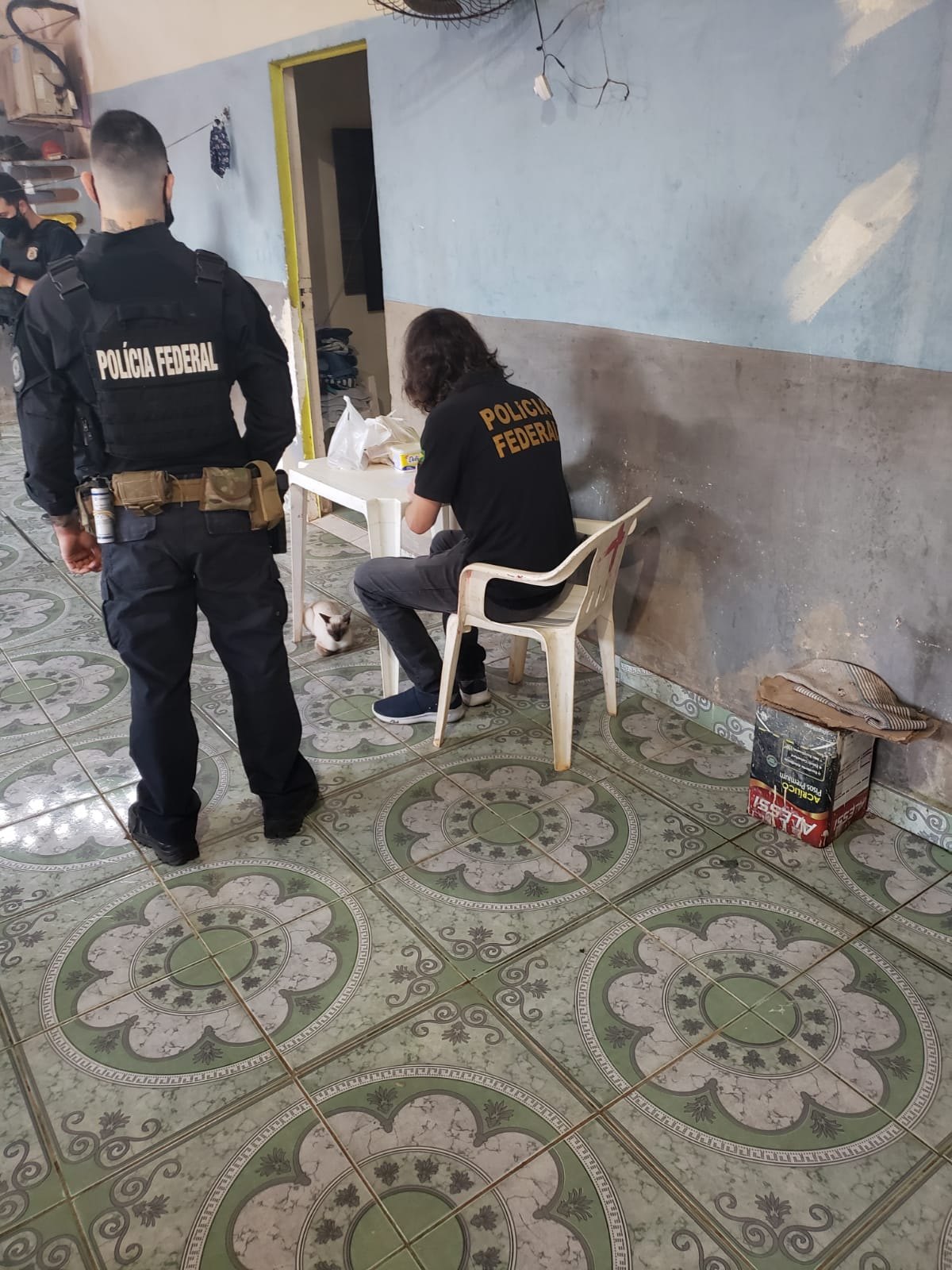 FACTIO: PF e CGU fazem operação contra fraude na compra de merenda escolar