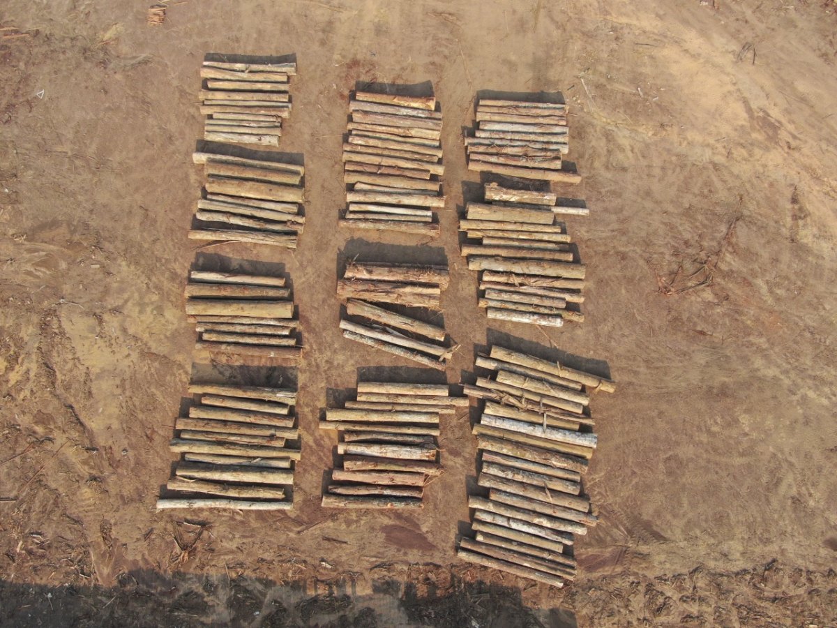 ANHANGÁ: Operação do Exército, FN, PRF, Funai e Ibama realiza grande apreensão de madeira