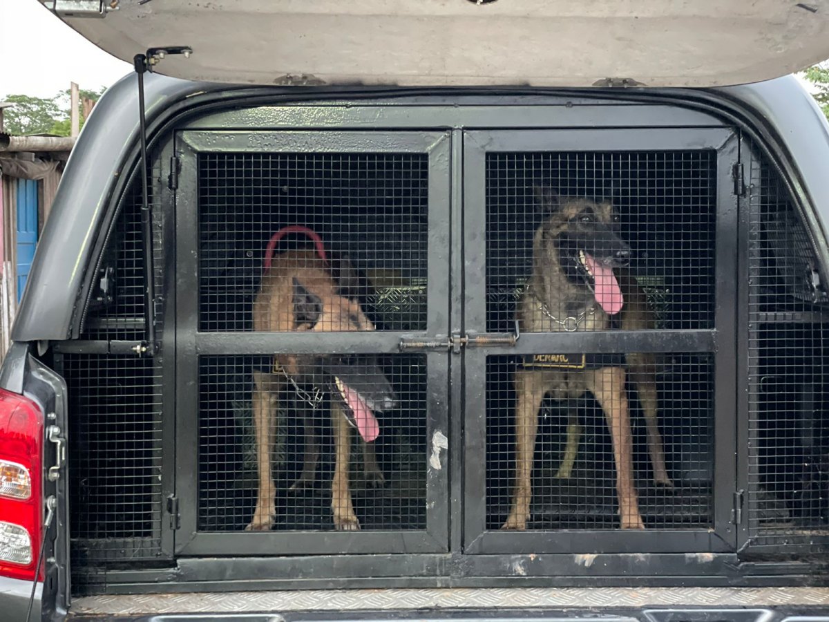 BANK EXIT: Polícia Civil prende assaltantes do tipo saidinha de banco na capital