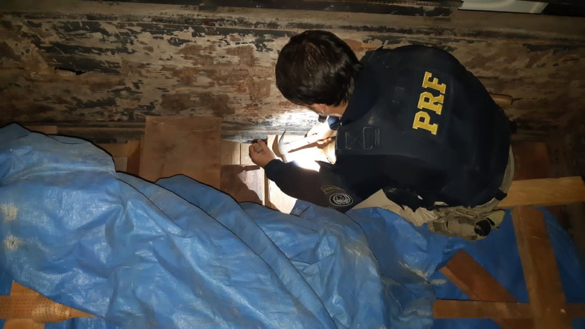 TRANSPORTE ILEGAL: PRF apreende sacas de carvão e madeiras durante operação em Rondônia 
