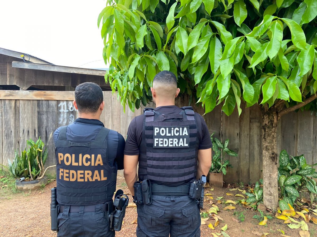 FLORESTA NACIONAL: Madeireiros acusados de esquema de extração ilegal são alvos de operação da PF