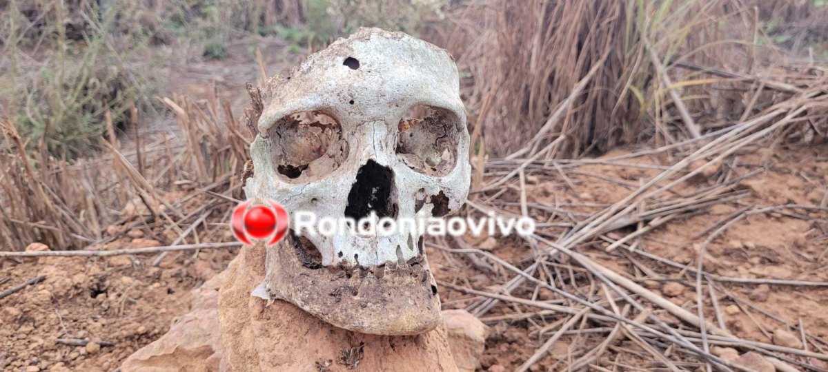 HOMICÍDIOS INVESTIGA: Trabalhador encontra Crânio humano próximo de antiga faculdade 