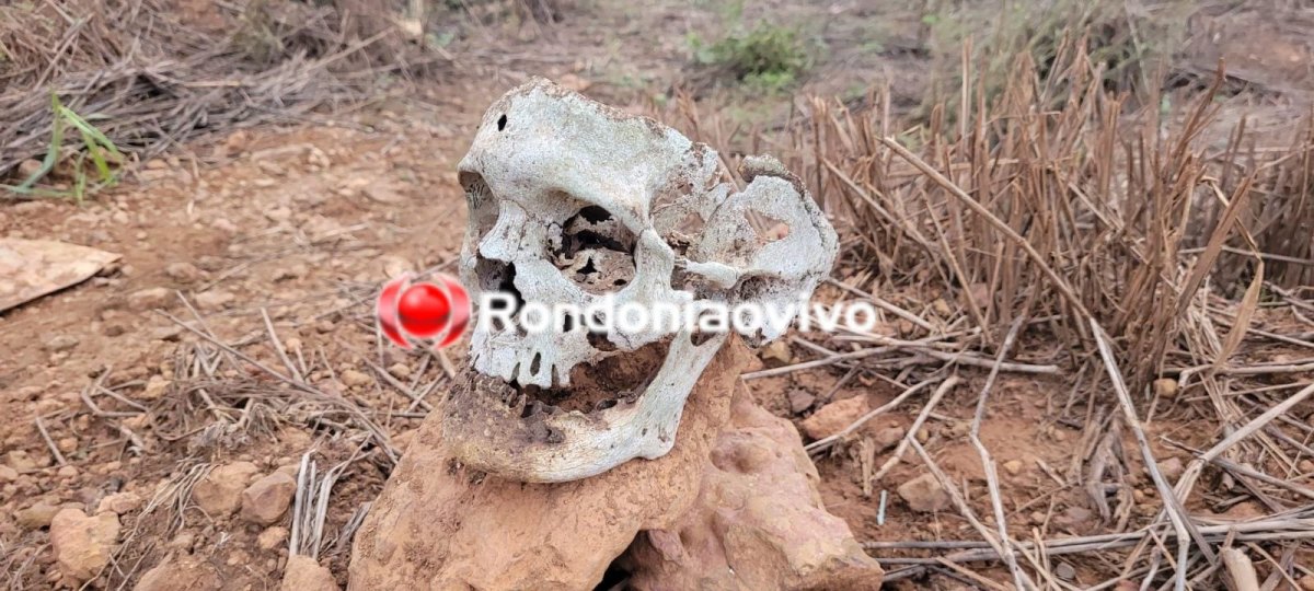 HOMICÍDIOS INVESTIGA: Trabalhador encontra Crânio humano próximo de antiga faculdade 