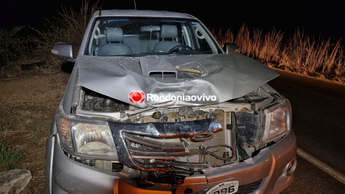 ATINGIDO EM CHEIO: Grave atropelamento resulta em vítima fatal na BR-364