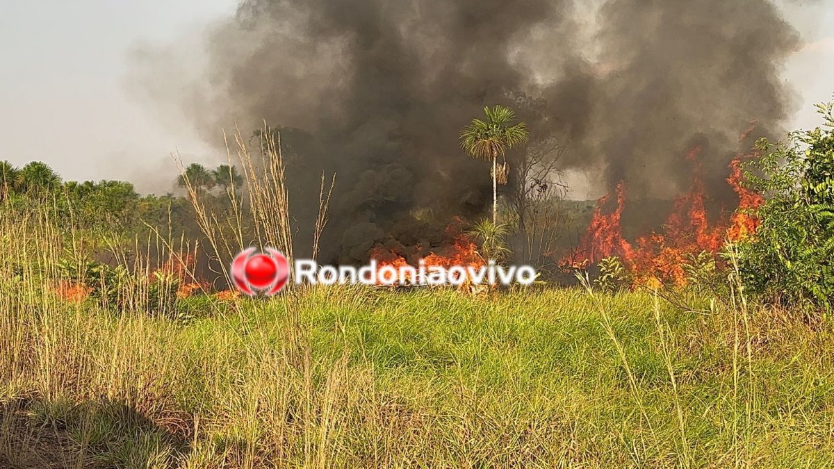 VÍDEO: Identificada jovem que morreu carbonizada após capotamento na BR-364