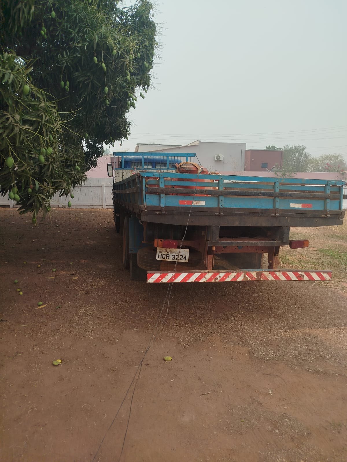 PROTETOR: Operação das forças de segurança apreende quase uma tonelada de skunk 