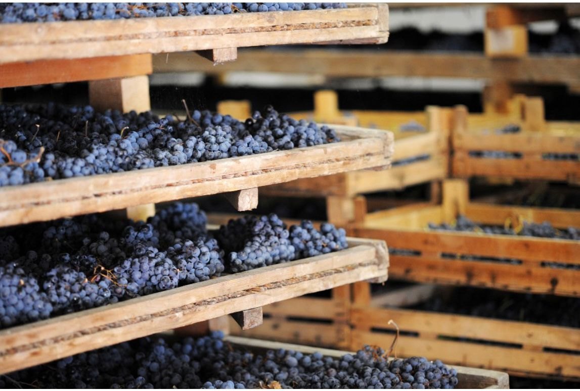Vinho Amarone - por Reinaldo Selhorst